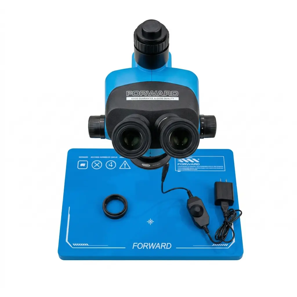 Gemini_Generated_Image_ncskhxncskhxncsk (1).webp