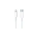 USB TIPO C-L 5A